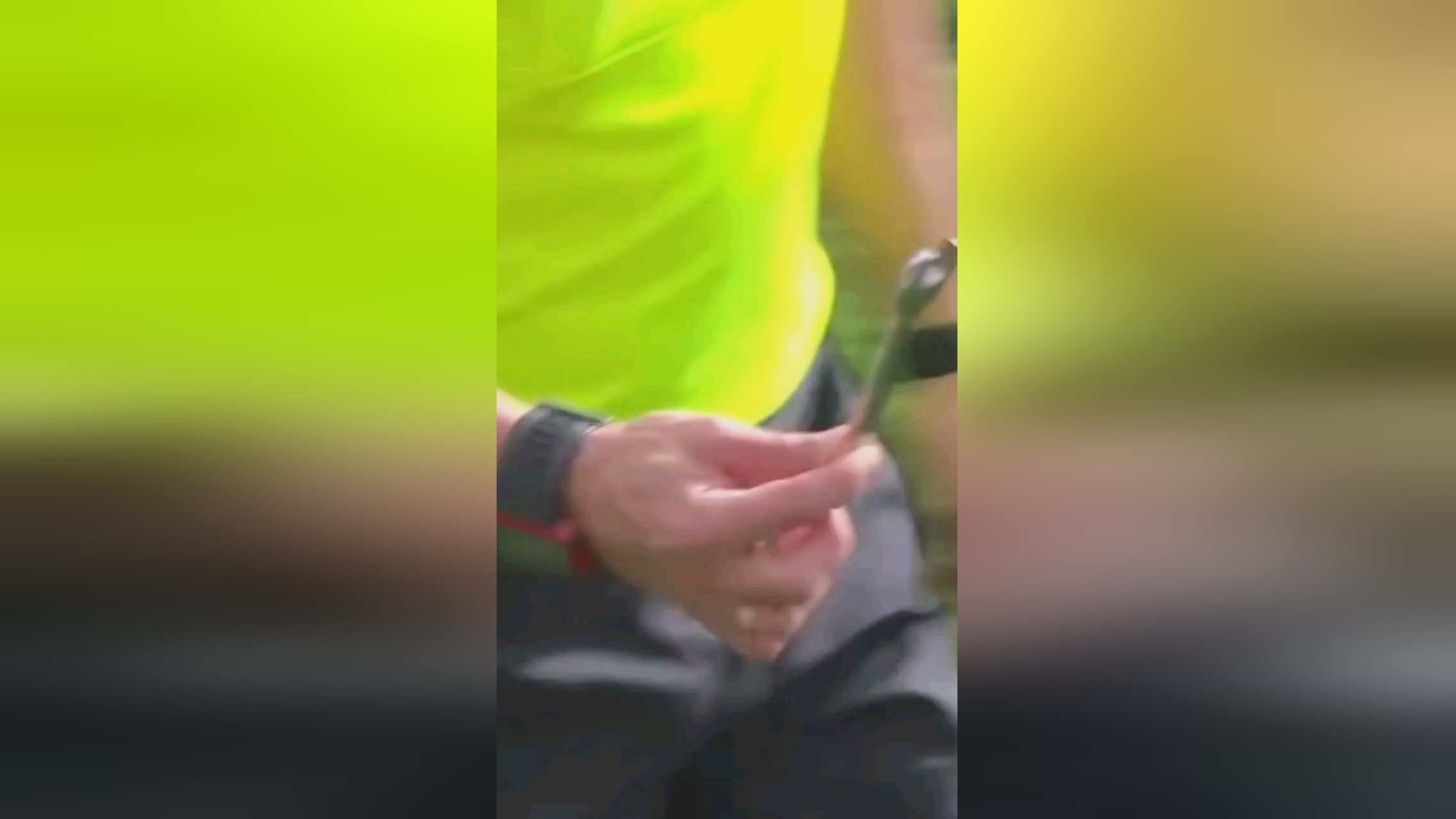 成功将