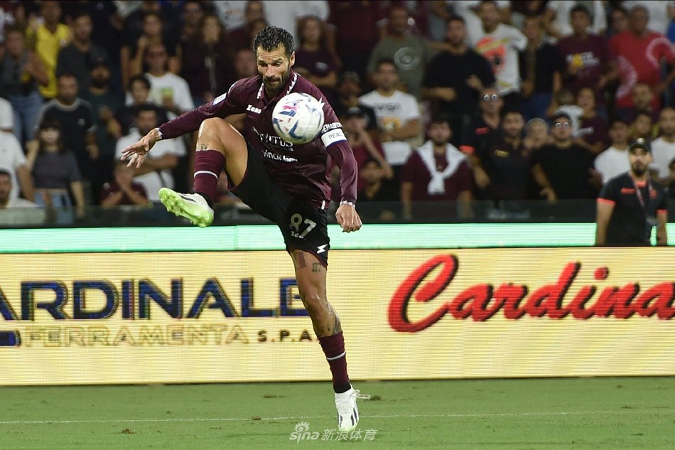 也是对意志 也是对意志